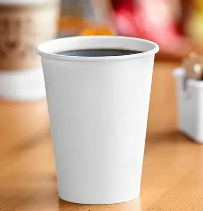 PLA1105 Compostable 20oz PLA Paper Hot Cup White (15 sleeves of 40 cups) 600Count